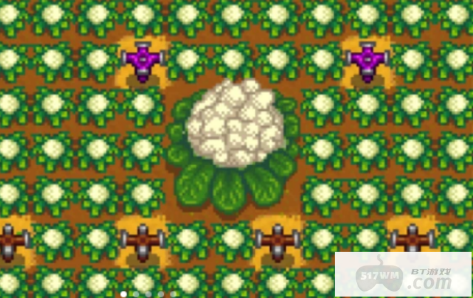 星露谷物语巨大作物如何种 星露谷物语巨大作物如何种
