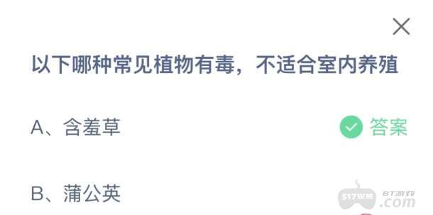 《支付宝》蚂蚁庄园12月2日问题-以下哪种常见植物有毒，不适合室内养殖