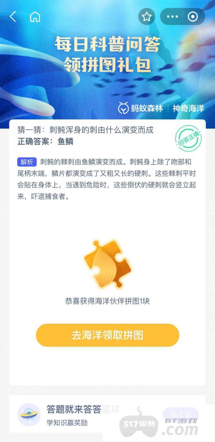 刺鲀浑身的刺由什么演变而成